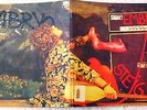 LP - EMBRYO - STEIG AUS -