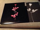 DEPECHE MODE - SPANISH 12