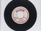 PEACE/SUMMMER TIME  -  DOMINO JOHNSON  (72  REGGAE/ROCKSTEADY  7