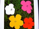 RARE ANDY WARHOL 12“ LP COVER ART LITERATURE