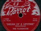 THE FLAMINGOS Dream Of A Lifetime R&B 78 on PARROT 808