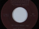 Northern/Sweet Soul 45 MIKE PEARSON I'm Crazy About You SUMMIT VG++/VG+ HEAR