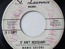 MAMIE GALORE-IT AIN'T NECESSARY /DON'T THINK I COULD STAND IT - WLP-NORTHERN 45