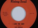 Northern Soul/Sweet Soul 45 FIDELICS I Love You Baby RISING-SOUL HEAR