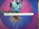 DIGABLE PLANETS REACHIN' ORIGINAL EXC/EXC