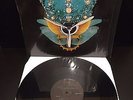 The Prodigy ?– Spitfire Vinyl, Single,  XL Recordings ?– XLT 213 *RARE NEAR MINT