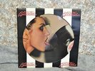 Original Blondie Parallel Lines LP PICTURE DISC 1978 Chrysalis US Press