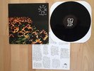+++ Lifetime - Background LP +++ sxe, have heart, bane