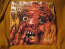 DEMOLITION HAMMER tortured existence VINYL LP (white #200) exodus forbidden