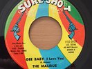 The Malibus - Gee Baby (I Love You) - Sureshot Original