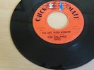 Rare 45  The Del-Phis  I'll let you know  Checkmate 1005  VG++  Plays