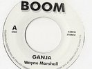 Wayne Marshall - Ganja 7