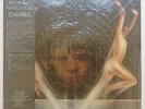 Camel Rain Dances (Japanese) LP NM/NM with Insert + OBI Prog Genesis Caravan