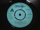 THE PEPPERMINT RAINBOW rare UK 1968 DEMO / PROMO / PSYCH / NEAR MINT 