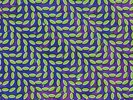 Merriweather Post Pavilion - 2 DISC SET - Animal Collective (2009, Vinyl NEUF)
