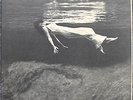 Bill Evans   Undercurrent   Black Label UA   Very Nice