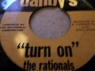 THE RATIONALS  TURN ON  DANBYS GARAGE ROCK  DETROIT VG+