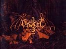 Arisen From The Ashes - ONSKAPT [CD]