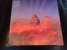 the maccabees - given to the wild