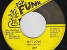 Sweet Soul/Funk 45 - Luv - Is It Love - Pgh. Funk - mp3