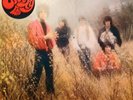 Spooky Tooth