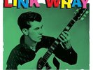 Link Wray - The Rumbling Guitar Sound Of (2LP Gatefold 180g Vinyl) NEW/SEALED