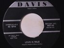 CHESTNUTS: Love Is True / It's You I Love 45 Vocal Groups