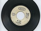 The Remains 45 My Babe b/w Why Do I Cry Epic 5-9783 Radio Station Copy Exc