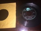 Bobby Fuller Donna 45 Record Our Favorite Martian