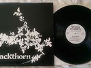 BLACKTHORN - BLACKTHORN LP RECORD ?– WHM1921 - RARE 1977 FOLK CLASSIC - NM/VG+
