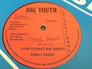 Sowell Radics Love Is What She Wants Rare Killer Roots 12