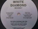 TERRY LEWIS & WILD FLOWER - The Peoples Message - RARE DISCO RAP Listen mp3