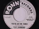CLAY HAMMOND: You've Got Me Tamed / You Threw Out Your Lifeline 45 (dj) Soul