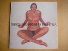 Arab Strap Aidan Moffat Philophobia 2 LP Chemical underground original + inners