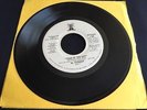 AL STEWART Year Of The Cat   RARE 1976 Janus PROMO WLP 45 stereo/mono 