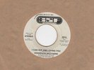 Anderson Brothers - I Can See Him Loving You - GSF 2nd Soul Northern Crossover M