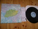 LIGHTNING BOLT RIDE THE SKIES LP VINYL LOAD 031