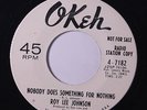 ROY LEE JOHNSON: Nobody Does Something For Nothing / Busybody 45 (dj) rare Soul