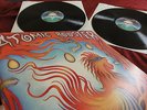 ATOMIC ROOSTER   