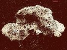 LOOP-ARRAY 1-VINYL MAXI ATP NEU