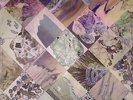 WHITE POPPY - Natural Phenomena - LP