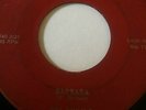 RARE OHIO DOO-WOP 45/ DEL-ROYALS 