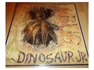 Dinosaur Jr. ?-  Bug - LP - NORMAL 102  - 1988