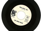 THE GREEN BEANS WLP KNOCK ON MY DOOR WHO NEEDS YOU MIKE CURB DAVIE ALLAN 45