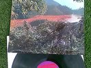 Dandy And Audrey Morning Side Of The Mountain -rare trojan downtown reggae ska