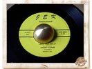 Danny Adams Long Tall Sally NORTHERN SOUL MOD HEAR 45