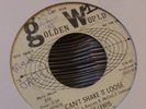 Pat Lewis-Can't Shake It Loose......7