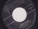 '64 STARLINE BOOKER T & THE MG's COVER 45 BYRON LEE GREEN ONIONS/ON THE TRAIL ?