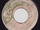 '81 WRITERS OF RASTAFARI REGGAE 45 TRUE PERSUADERS ROOTS MAN SKANK scientist ?