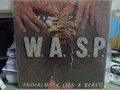 WASP--ANIMAL (F**K LIKE A BEAST)--MUSIC FOR NATIONS--12 KUT 09--RARE BLUE VINYL